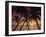 Palm Tree Silhouettes at Pigeon Point, Tobago, Trinidad and Tobago, West Indies, Caribbean-Gavin Hellier-Framed Photographic Print