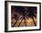 Palm Tree Silhouettes at Pigeon Point, Tobago, Trinidad and Tobago, West Indies, Caribbean-Gavin Hellier-Framed Photographic Print