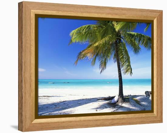 Palm Tree, White Sandy Beach and Indian Ocean, Jambiani, Island of Zanzibar, Tanzania, East Africa-Lee Frost-Framed Premier Image Canvas