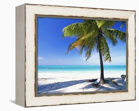 Palm Tree, White Sandy Beach and Indian Ocean, Jambiani, Island of Zanzibar, Tanzania, East Africa-Lee Frost-Framed Premier Image Canvas