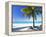 Palm Tree, White Sandy Beach and Indian Ocean, Jambiani, Island of Zanzibar, Tanzania, East Africa-Lee Frost-Framed Premier Image Canvas