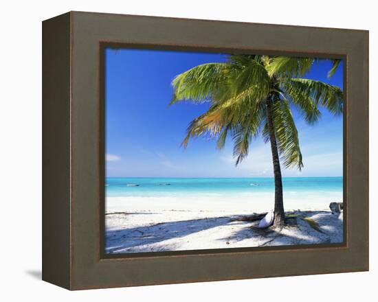 Palm Tree, White Sandy Beach and Indian Ocean, Jambiani, Island of Zanzibar, Tanzania, East Africa-Lee Frost-Framed Premier Image Canvas