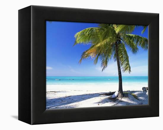 Palm Tree, White Sandy Beach and Indian Ocean, Jambiani, Island of Zanzibar, Tanzania, East Africa-Lee Frost-Framed Premier Image Canvas