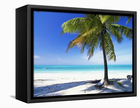 Palm Tree, White Sandy Beach and Indian Ocean, Jambiani, Island of Zanzibar, Tanzania, East Africa-Lee Frost-Framed Premier Image Canvas