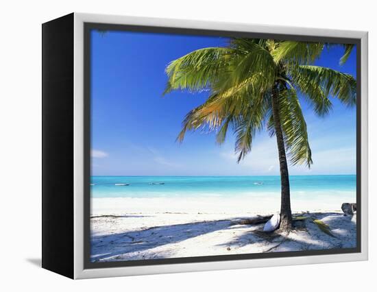 Palm Tree, White Sandy Beach and Indian Ocean, Jambiani, Island of Zanzibar, Tanzania, East Africa-Lee Frost-Framed Premier Image Canvas