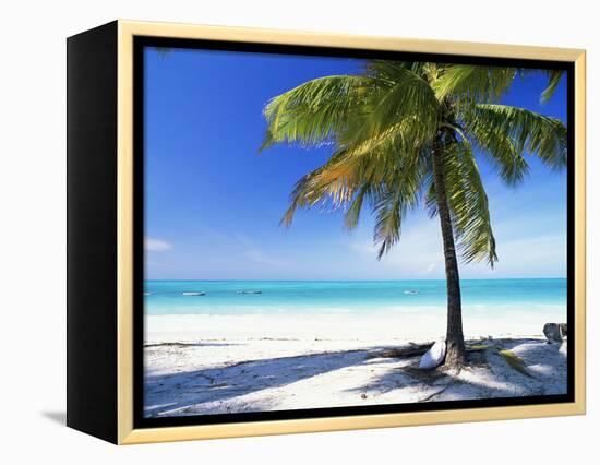 Palm Tree, White Sandy Beach and Indian Ocean, Jambiani, Island of Zanzibar, Tanzania, East Africa-Lee Frost-Framed Premier Image Canvas