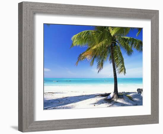 Palm Tree, White Sandy Beach and Indian Ocean, Jambiani, Island of Zanzibar, Tanzania, East Africa-Lee Frost-Framed Photographic Print