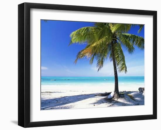 Palm Tree, White Sandy Beach and Indian Ocean, Jambiani, Island of Zanzibar, Tanzania, East Africa-Lee Frost-Framed Photographic Print