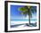 Palm Tree, White Sandy Beach and Indian Ocean, Jambiani, Island of Zanzibar, Tanzania, East Africa-Lee Frost-Framed Photographic Print