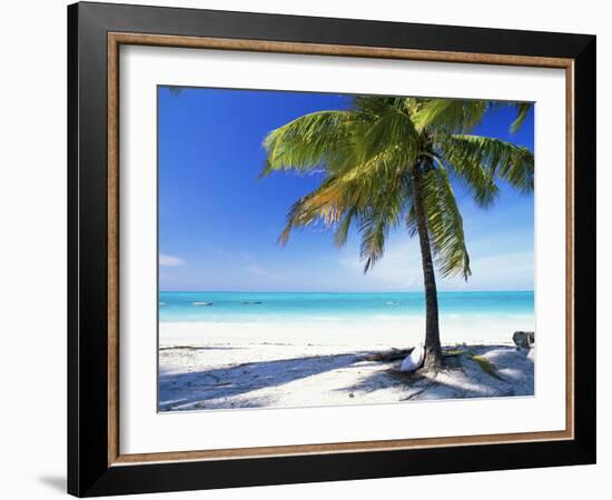 Palm Tree, White Sandy Beach and Indian Ocean, Jambiani, Island of Zanzibar, Tanzania, East Africa-Lee Frost-Framed Photographic Print