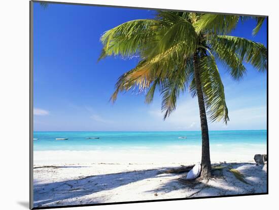 Palm Tree, White Sandy Beach and Indian Ocean, Jambiani, Island of Zanzibar, Tanzania, East Africa-Lee Frost-Mounted Photographic Print