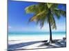 Palm Tree, White Sandy Beach and Indian Ocean, Jambiani, Island of Zanzibar, Tanzania, East Africa-Lee Frost-Mounted Photographic Print