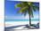 Palm Tree, White Sandy Beach and Indian Ocean, Jambiani, Island of Zanzibar, Tanzania, East Africa-Lee Frost-Mounted Photographic Print