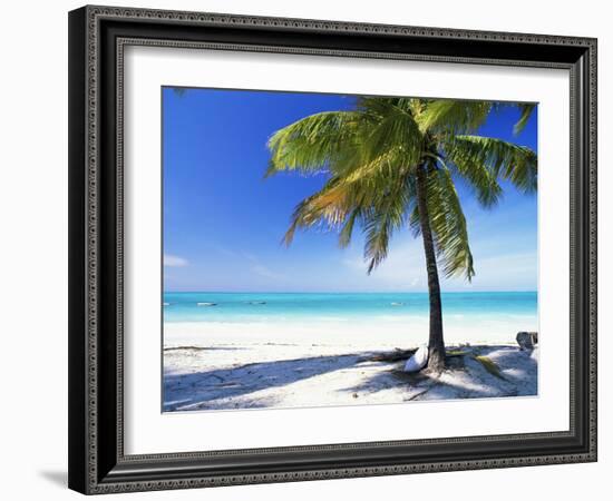 Palm Tree, White Sandy Beach and Indian Ocean, Jambiani, Island of Zanzibar, Tanzania, East Africa-Lee Frost-Framed Photographic Print