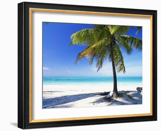 Palm Tree, White Sandy Beach and Indian Ocean, Jambiani, Island of Zanzibar, Tanzania, East Africa-Lee Frost-Framed Photographic Print