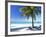 Palm Tree, White Sandy Beach and Indian Ocean, Jambiani, Island of Zanzibar, Tanzania, East Africa-Lee Frost-Framed Photographic Print