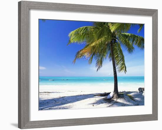 Palm Tree, White Sandy Beach and Indian Ocean, Jambiani, Island of Zanzibar, Tanzania, East Africa-Lee Frost-Framed Photographic Print