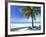 Palm Tree, White Sandy Beach and Indian Ocean, Jambiani, Island of Zanzibar, Tanzania, East Africa-Lee Frost-Framed Photographic Print