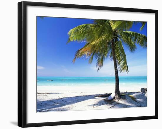 Palm Tree, White Sandy Beach and Indian Ocean, Jambiani, Island of Zanzibar, Tanzania, East Africa-Lee Frost-Framed Photographic Print