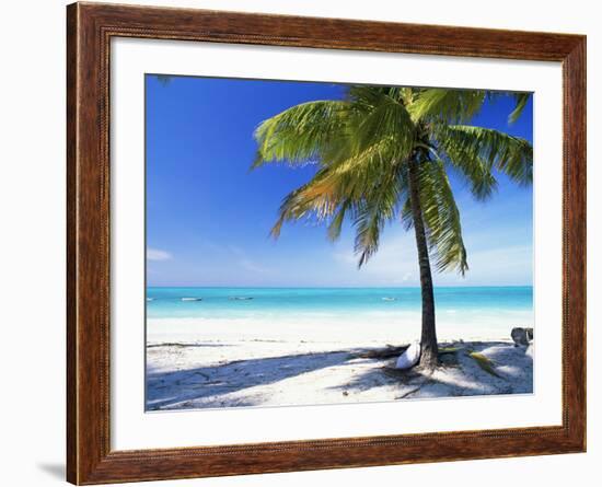 Palm Tree, White Sandy Beach and Indian Ocean, Jambiani, Island of Zanzibar, Tanzania, East Africa-Lee Frost-Framed Photographic Print