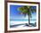 Palm Tree, White Sandy Beach and Indian Ocean, Jambiani, Island of Zanzibar, Tanzania, East Africa-Lee Frost-Framed Photographic Print