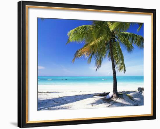 Palm Tree, White Sandy Beach and Indian Ocean, Jambiani, Island of Zanzibar, Tanzania, East Africa-Lee Frost-Framed Photographic Print