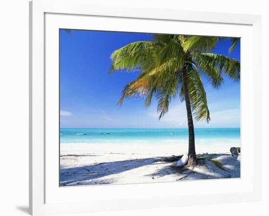 Palm Tree, White Sandy Beach and Indian Ocean, Jambiani, Island of Zanzibar, Tanzania, East Africa-Lee Frost-Framed Photographic Print