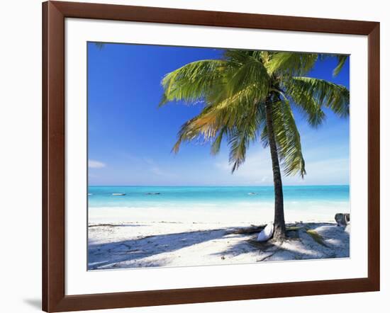 Palm Tree, White Sandy Beach and Indian Ocean, Jambiani, Island of Zanzibar, Tanzania, East Africa-Lee Frost-Framed Photographic Print