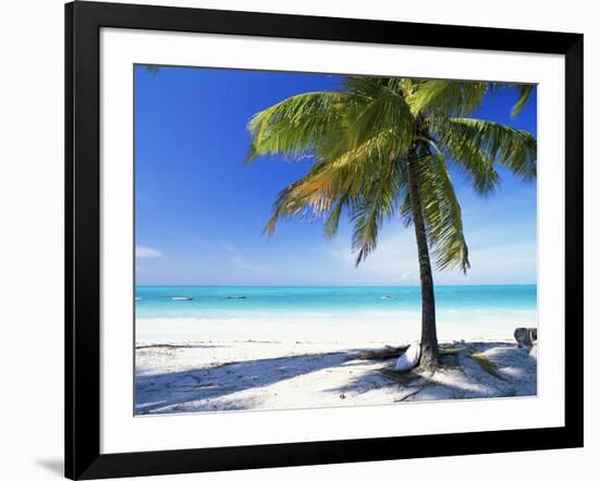 Palm Tree, White Sandy Beach and Indian Ocean, Jambiani, Island of Zanzibar, Tanzania, East Africa-Lee Frost-Framed Photographic Print