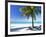 Palm Tree, White Sandy Beach and Indian Ocean, Jambiani, Island of Zanzibar, Tanzania, East Africa-Lee Frost-Framed Photographic Print