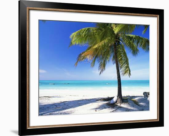 Palm Tree, White Sandy Beach and Indian Ocean, Jambiani, Island of Zanzibar, Tanzania, East Africa-Lee Frost-Framed Photographic Print