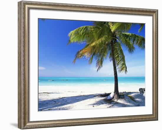 Palm Tree, White Sandy Beach and Indian Ocean, Jambiani, Island of Zanzibar, Tanzania, East Africa-Lee Frost-Framed Photographic Print