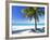 Palm Tree, White Sandy Beach and Indian Ocean, Jambiani, Island of Zanzibar, Tanzania, East Africa-Lee Frost-Framed Photographic Print