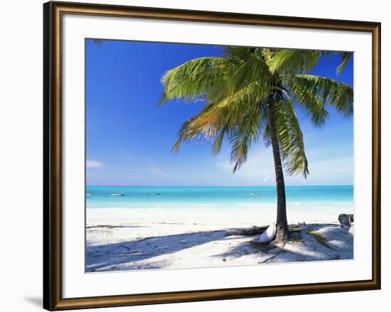 Palm Tree, White Sandy Beach and Indian Ocean, Jambiani, Island of Zanzibar, Tanzania, East Africa-Lee Frost-Framed Photographic Print