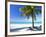 Palm Tree, White Sandy Beach and Indian Ocean, Jambiani, Island of Zanzibar, Tanzania, East Africa-Lee Frost-Framed Photographic Print