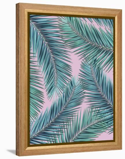 Palm-Tree-Mark Ashkenazi-Framed Premier Image Canvas