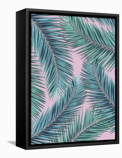 Palm-Tree-Mark Ashkenazi-Framed Premier Image Canvas