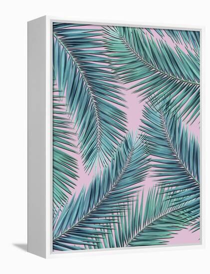 Palm-Tree-Mark Ashkenazi-Framed Premier Image Canvas