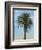 Palm Tree-Matthew Piotrowicz-Framed Art Print