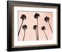 Palm Trees 1997 Copper-Erik Asla-Framed Photographic Print