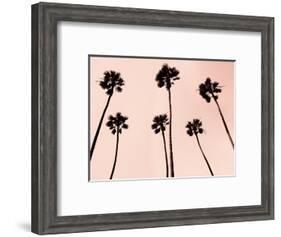 Palm Trees 1997 Copper-Erik Asla-Framed Photographic Print