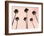 Palm Trees 1997 Copper-Erik Asla-Framed Photographic Print