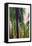 Palm Trees 1-Boho Hue Studio-Framed Stretched Canvas