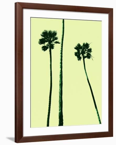 Palm Trees 2000 (Cyan)-Erik Asla-Framed Photographic Print