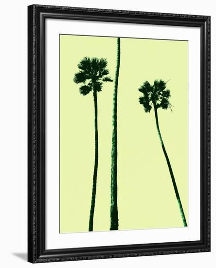 Palm Trees 2000 (Cyan)-Erik Asla-Framed Photographic Print