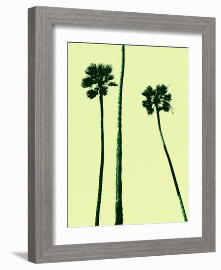 Palm Trees 2000 (Cyan)-Erik Asla-Framed Photographic Print