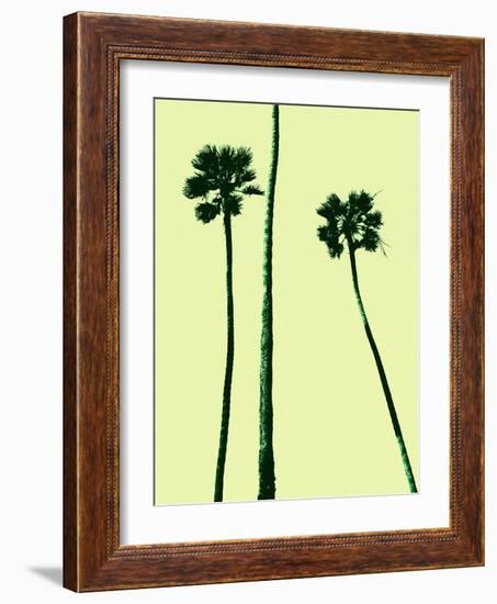 Palm Trees 2000 (Cyan)-Erik Asla-Framed Photographic Print