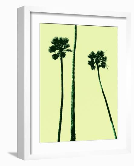 Palm Trees 2000 (Cyan)-Erik Asla-Framed Photographic Print