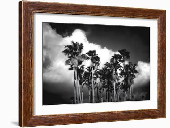 Palm Trees 2-Robert Seguin-Framed Art Print