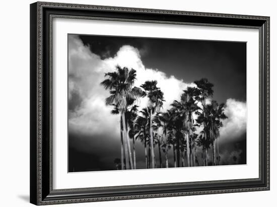 Palm Trees 2-Robert Seguin-Framed Art Print